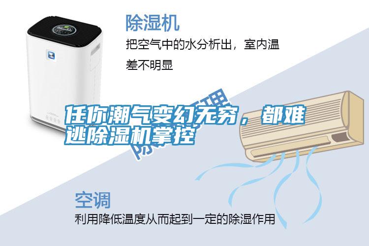 任你潮氣變幻無(wú)窮，都難逃除濕機(jī)掌控