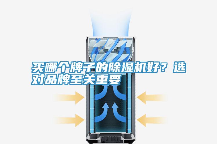買哪個牌子的除濕機好？選對品牌至關(guān)重要