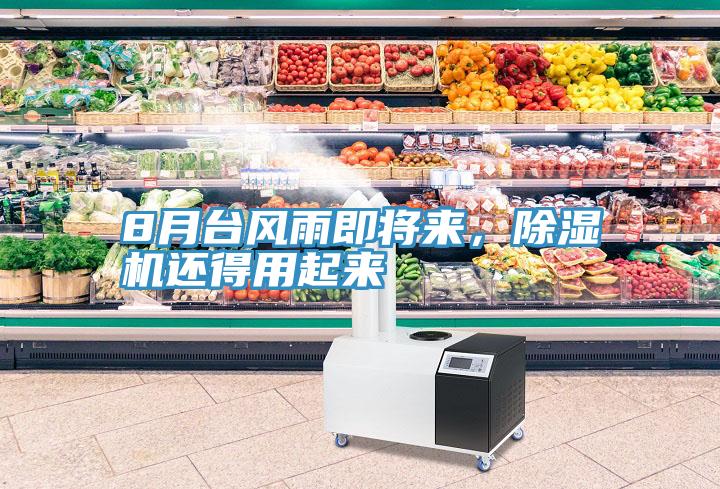 8月臺風雨即將來，除濕機還得用起來