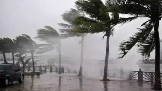 8月臺(tái)風(fēng)雨即將來，除濕機(jī)還得用起來