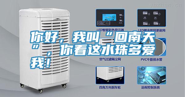 你好，我叫“回南天”，你看這水珠多愛我！