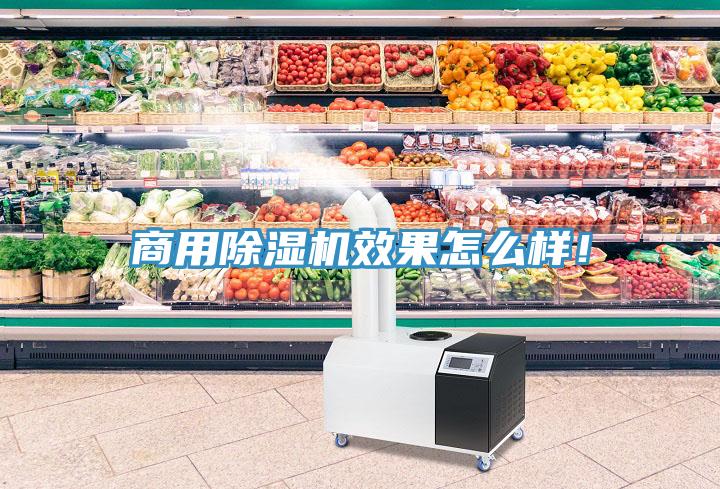 商用除濕機效果怎么樣！