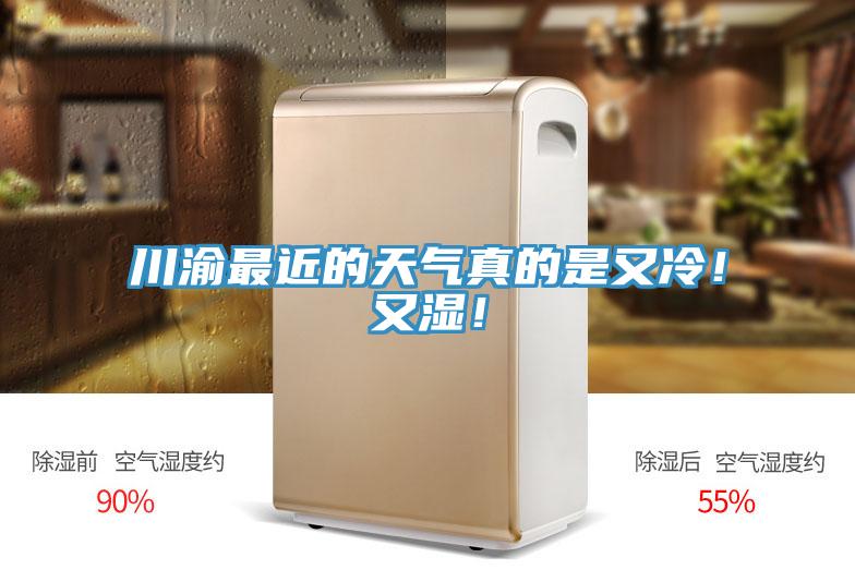 川渝最近的天氣真的是又冷！又濕！