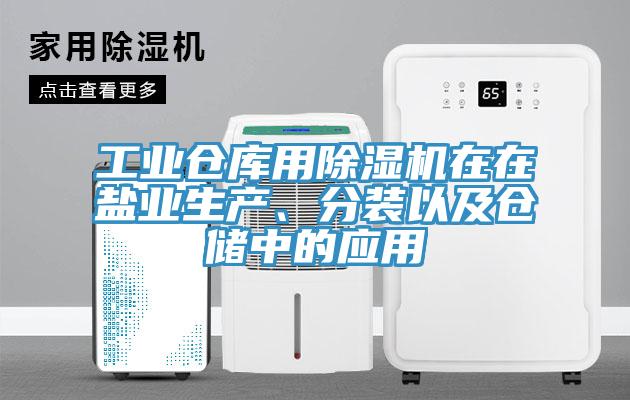 工業(yè)倉庫用除濕機在在鹽業(yè)生產(chǎn)、分裝以及倉儲中的應用