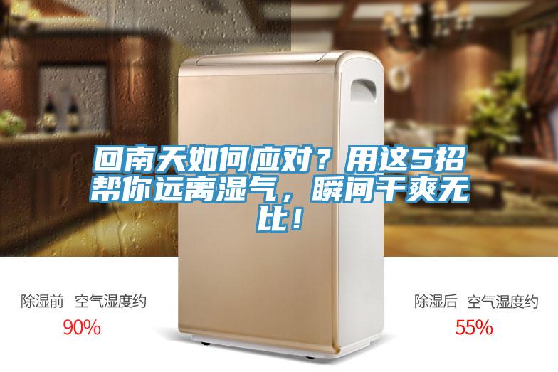 回南天如何應對？用這5招幫你遠離濕氣，瞬間干爽無比！
