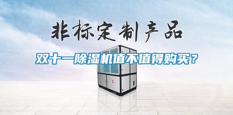 雙十一除濕機(jī)值不值得購買？