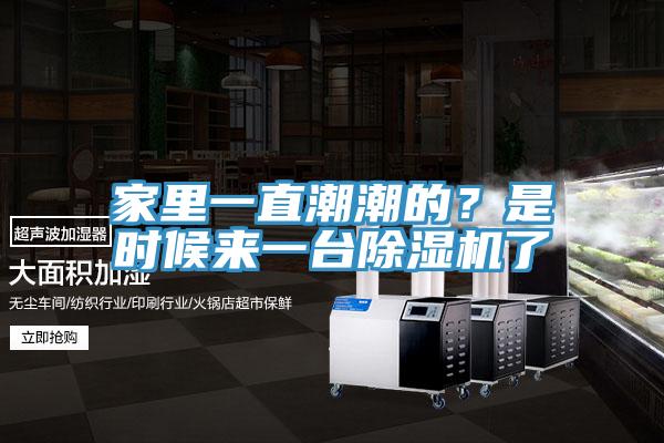 家里一直潮潮的？是時候來一臺除濕機了