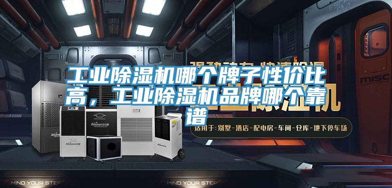 工業(yè)除濕機(jī)哪個(gè)牌子性價(jià)比高，工業(yè)除濕機(jī)品牌哪個(gè)靠譜
