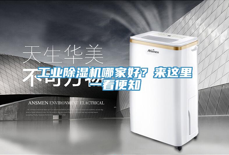 工業(yè)除濕機(jī)哪家好？來這里一看便知