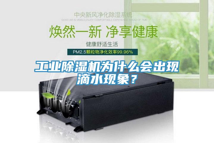 工業(yè)除濕機(jī)為什么會出現(xiàn)滴水現(xiàn)象？