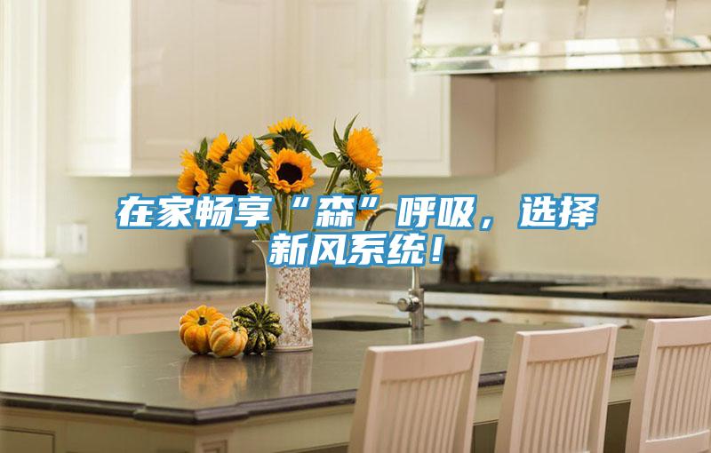 在家暢享“森”呼吸，選擇新風(fēng)系統(tǒng)！