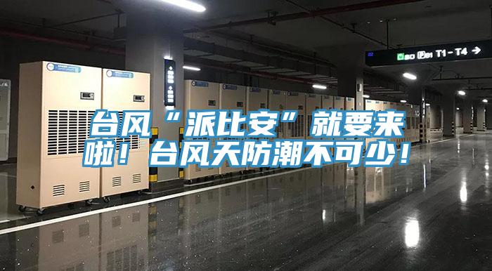 臺(tái)風(fēng)“派比安”就要來啦！臺(tái)風(fēng)天防潮不可少！