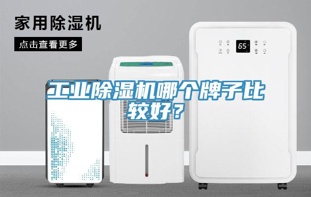 工業(yè)除濕機(jī)哪個牌子比較好？