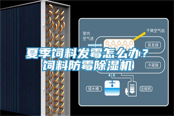 夏季飼料發(fā)霉怎么辦？飼料防霉除濕機