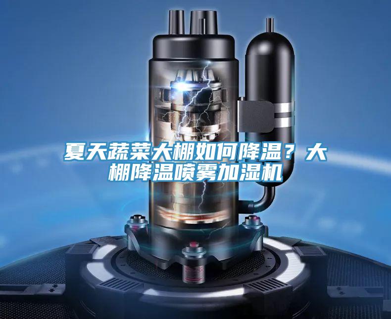 夏天蔬菜大棚如何降溫？大棚降溫噴霧加濕機