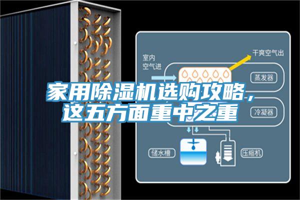 家用除濕機選購攻略，這五方面重中之重