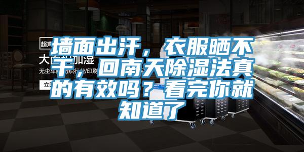墻面出汗，衣服曬不干，回南天除濕法真的有效嗎？看完你就知道了