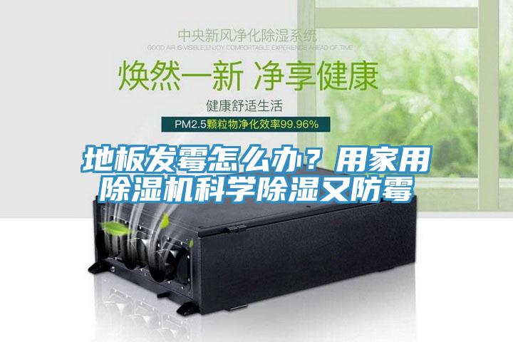 地板發(fā)霉怎么辦？用家用除濕機(jī)科學(xué)除濕又防霉