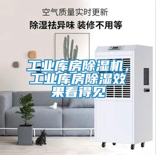 工業(yè)庫(kù)房除濕機(jī)，工業(yè)庫(kù)房除濕效果看得見