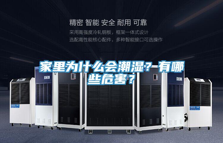 家里為什么會潮濕？有哪些危害？