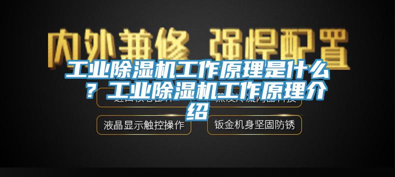 工業(yè)除濕機(jī)工作原理是什么 ？工業(yè)除濕機(jī)工作原理介紹