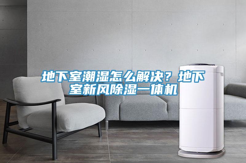 地下室潮濕怎么解決？地下室新風(fēng)除濕一體機(jī)