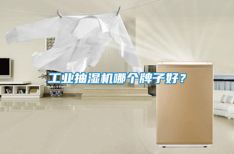 工業(yè)抽濕機(jī)哪個(gè)牌子好？