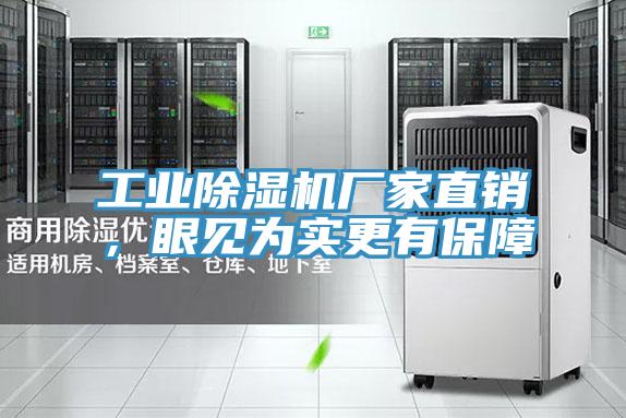 工業(yè)除濕機(jī)廠家直銷，眼見為實更有保障