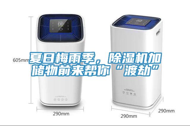 夏日梅雨季，除濕機加儲物前來幫你“渡劫”