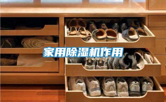 家用除濕機(jī)作用