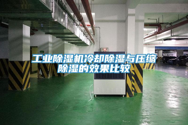 工業(yè)除濕機冷卻除濕與壓縮除濕的效果比較
