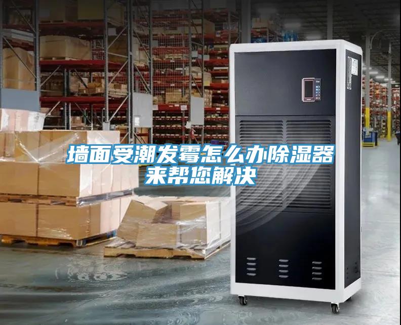 墻面受潮發(fā)霉怎么辦除濕器來(lái)幫您解決
