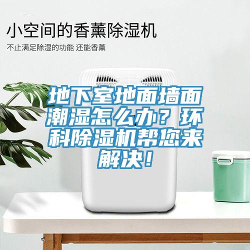 地下室地面墻面潮濕怎么辦？環(huán)科除濕機(jī)幫您來解決！