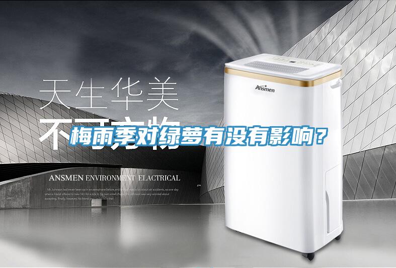 梅雨季對(duì)綠蘿有沒(méi)有影響？