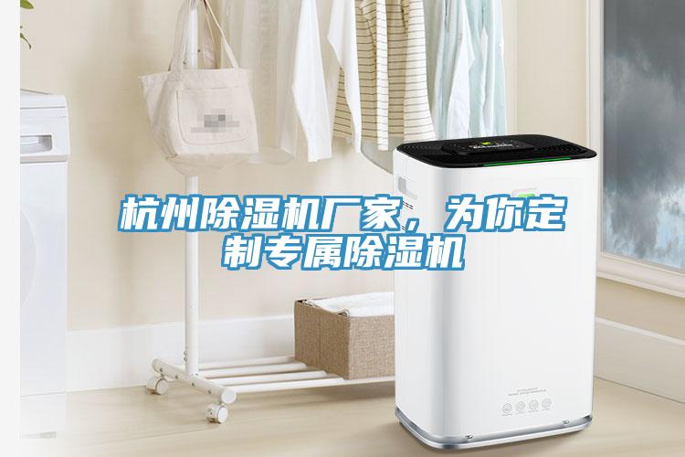 杭州除濕機廠家，為你定制專屬除濕機