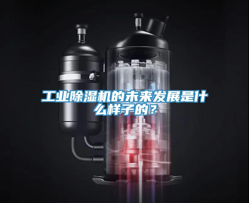 工業(yè)除濕機(jī)的未來發(fā)展是什么樣子的？