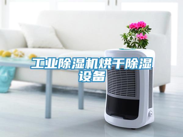 工業(yè)除濕機烘干除濕設(shè)備