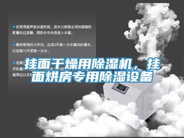 掛面干燥用除濕機，掛面烘房專用除濕設(shè)備