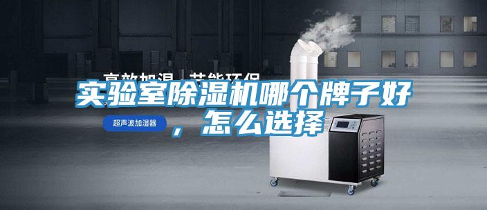 實(shí)驗(yàn)室除濕機(jī)哪個(gè)牌子好，怎么選擇