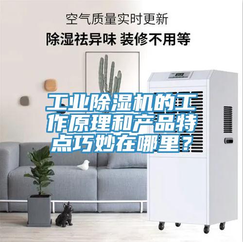 工業(yè)除濕機(jī)的工作原理和產(chǎn)品特點(diǎn)巧妙在哪里？
