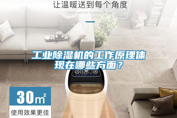 工業(yè)除濕機(jī)的工作原理體現(xiàn)在哪些方面？