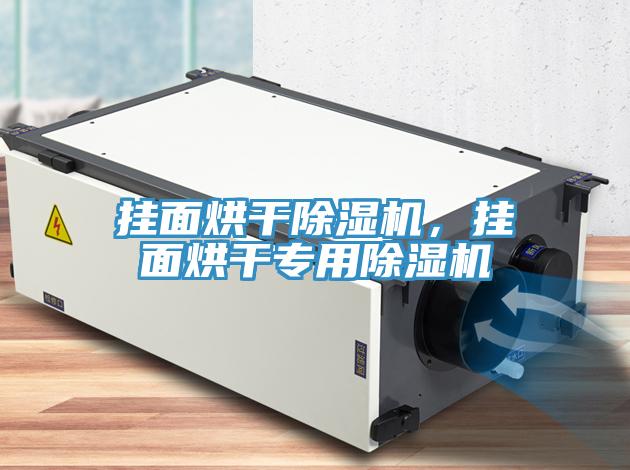 掛面烘干除濕機，掛面烘干專用除濕機