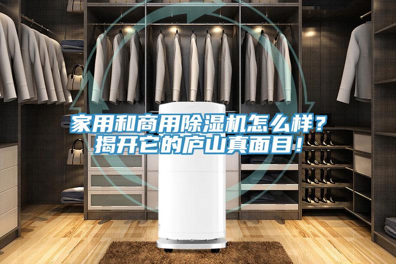 家用和商用除濕機(jī)怎么樣？揭開它的廬山真面目！