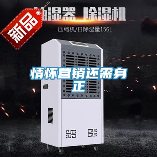 情懷營(yíng)銷還需身正