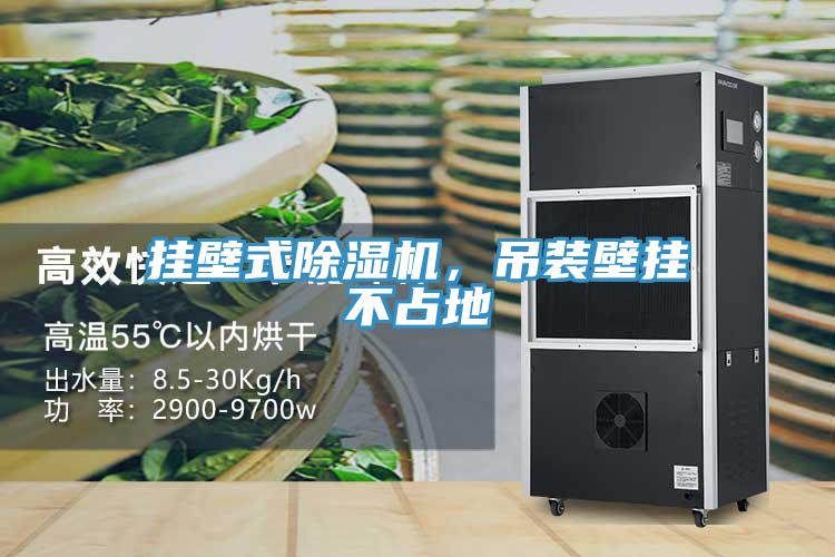 掛壁式除濕機，吊裝壁掛不占地