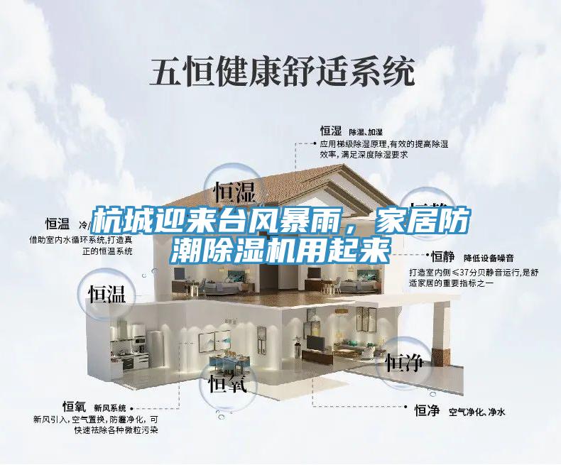 杭城迎來臺風(fēng)暴雨，家居防潮除濕機用起來