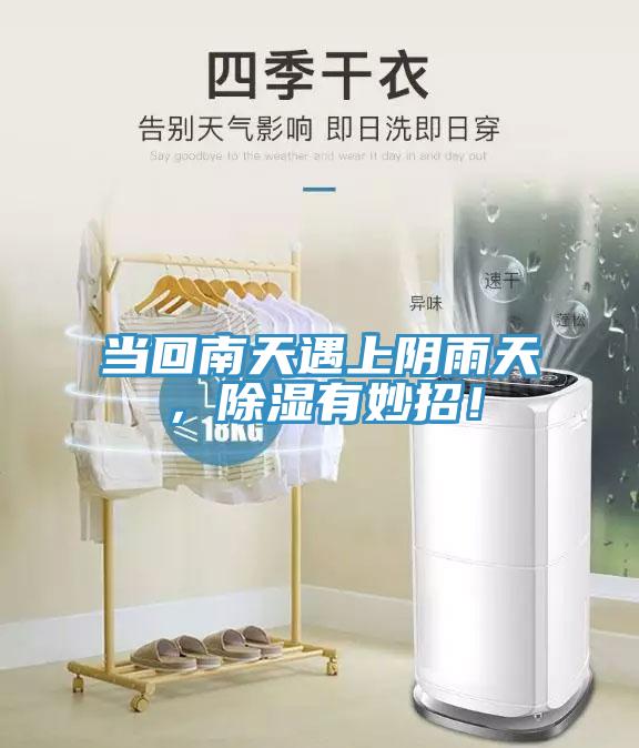 當(dāng)回南天遇上陰雨天，除濕有妙招！