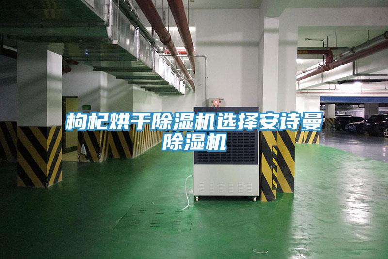 枸杞烘干除濕機(jī)選擇安詩(shī)曼除濕機(jī)