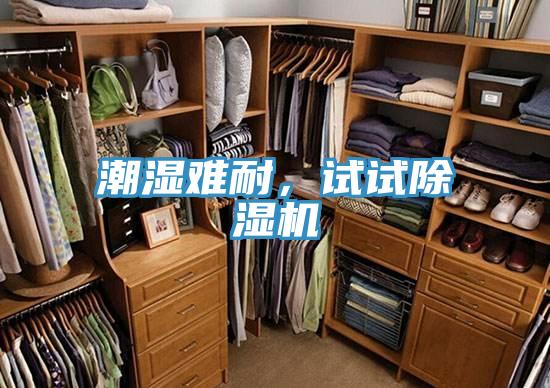 潮濕難耐，試試除濕機(jī)