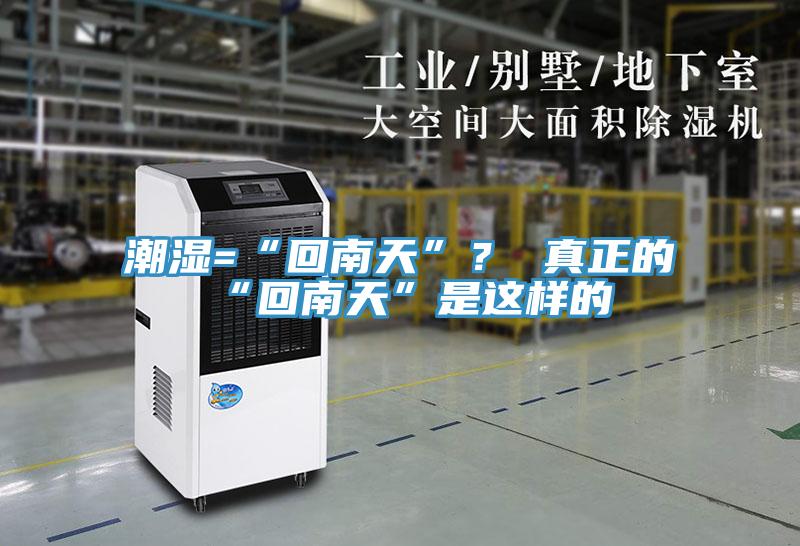 潮濕=“回南天”？ 真正的“回南天”是這樣的